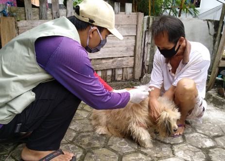 Vaksinasi Anjing