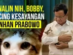 Kucing Kesayangan Prabowo