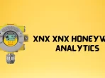 XNX Transmitter Honeywell X Series